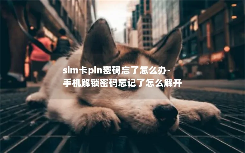 sim卡pin密码忘了怎么办-手机解锁密码忘记了怎么解开