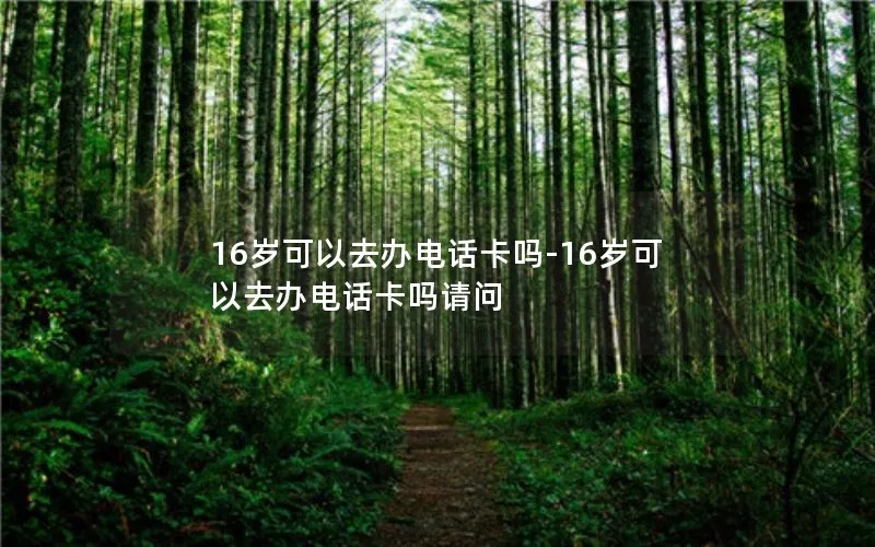 16岁可以去办电话卡吗-16岁可以去办电话卡吗请问