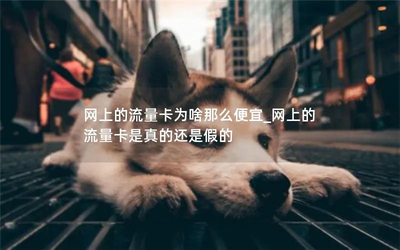 网上的流量卡为啥那么便宜_网上的流量卡是真的还是假的