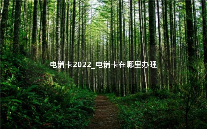 电销卡2022_电销卡在哪里办理