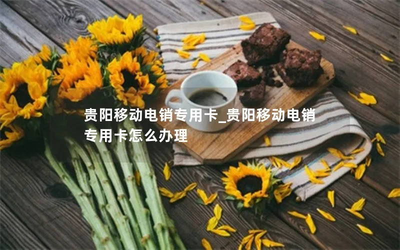 贵阳移动电销专用卡_贵阳移动电销专用卡怎么办理