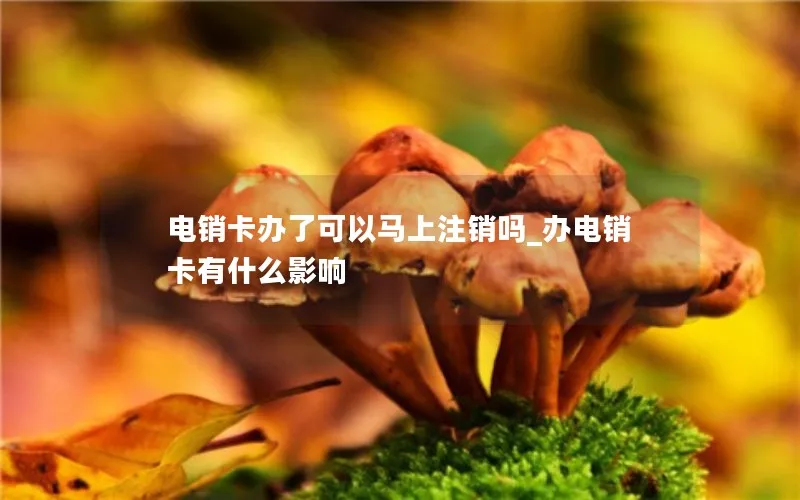 电销卡办了可以马上注销吗_办电销卡有什么影响