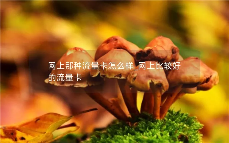 网上那种流量卡怎么样_网上比较好的流量卡