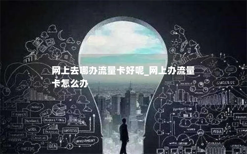 网上去哪办流量卡好呢_网上办流量卡怎么办