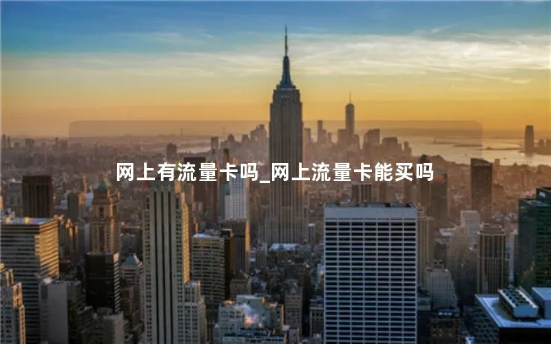 网上有流量卡吗_网上流量卡能买吗