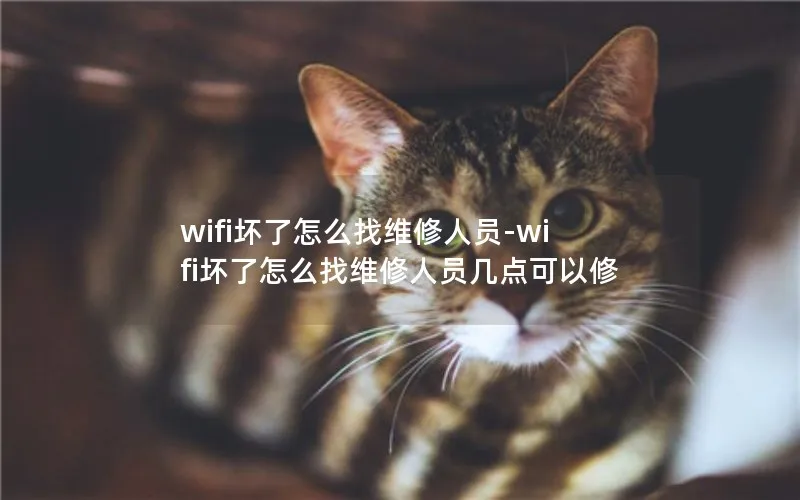 wifi坏了怎么找维修人员-wifi坏了怎么找维修人员几点可以修