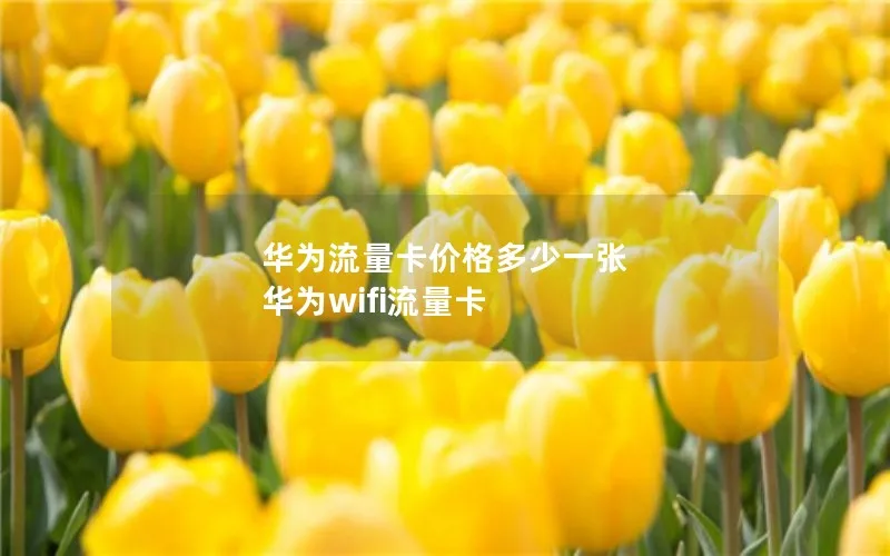 华为流量卡价格多少一张 华为wifi流量卡