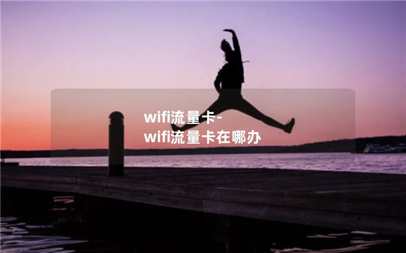 wifi流量卡-wifi流量卡在哪办