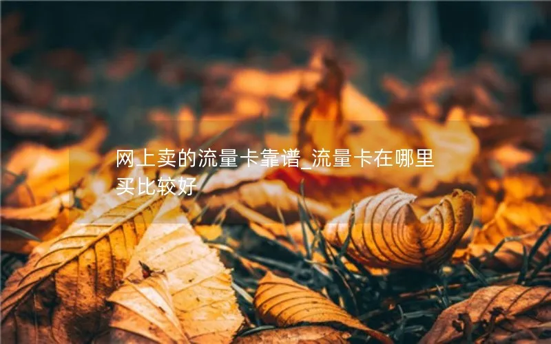 网上卖的流量卡靠谱_流量卡在哪里买比较好