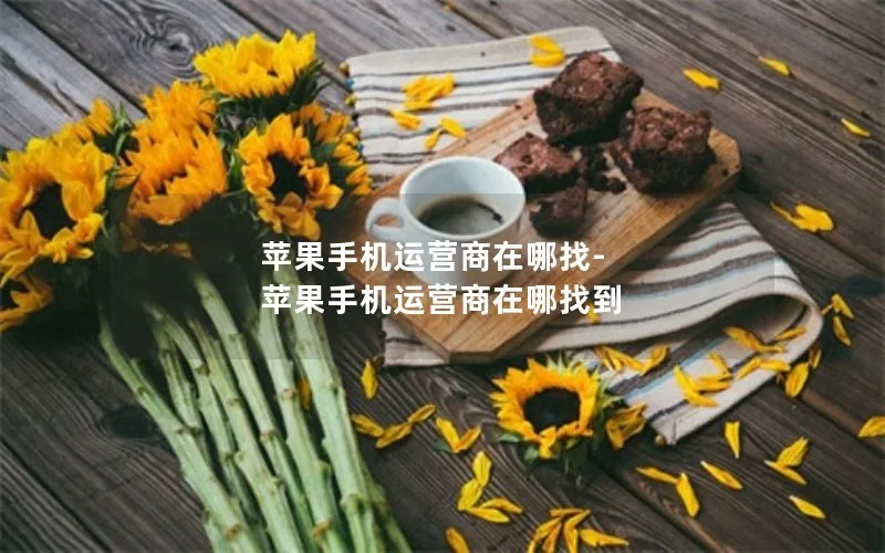 苹果手机运营商在哪找-苹果手机运营商在哪找到