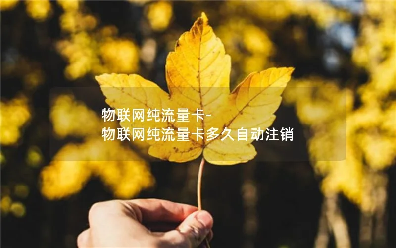 物联网纯流量卡-物联网纯流量卡多久自动注销