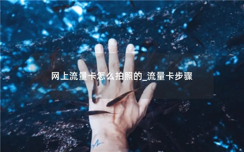 网上流量卡怎么拍照的_流量卡步骤