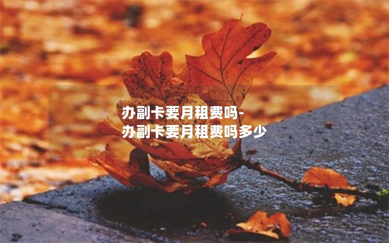 办副卡要月租费吗-办副卡要月租费吗多少