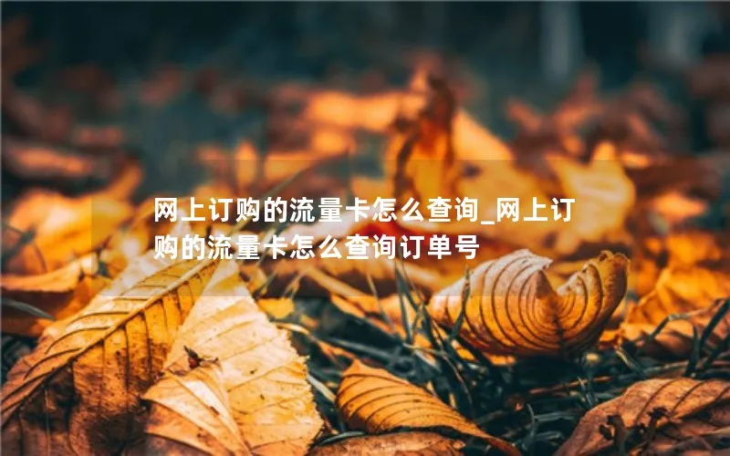 网上订购的流量卡怎么查询_网上订购的流量卡怎么查询订单号