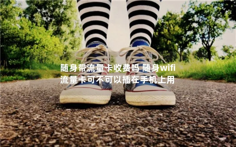 随身带流量卡收费吗 随身wifi流量卡可不可以插在手机上用