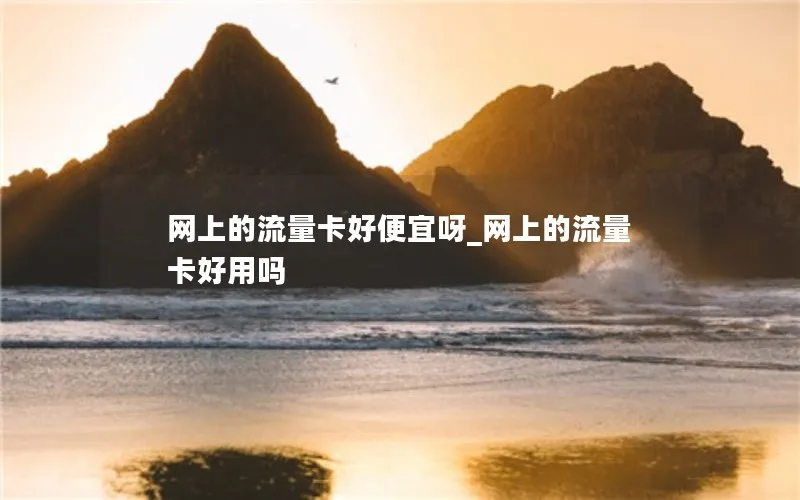 网上的流量卡好便宜呀_网上的流量卡好用吗