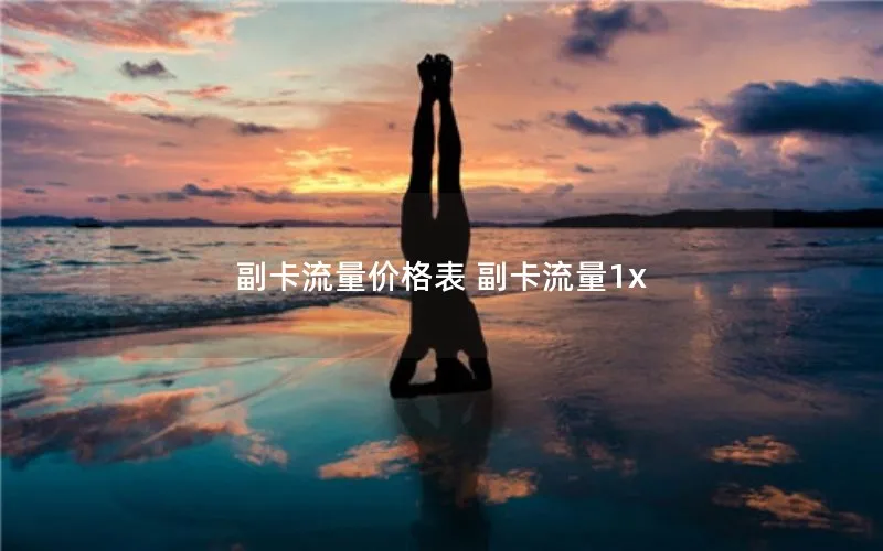 副卡流量价格表 副卡流量1x