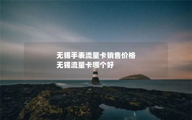 无锡手表流量卡销售价格 无锡流量卡哪个好