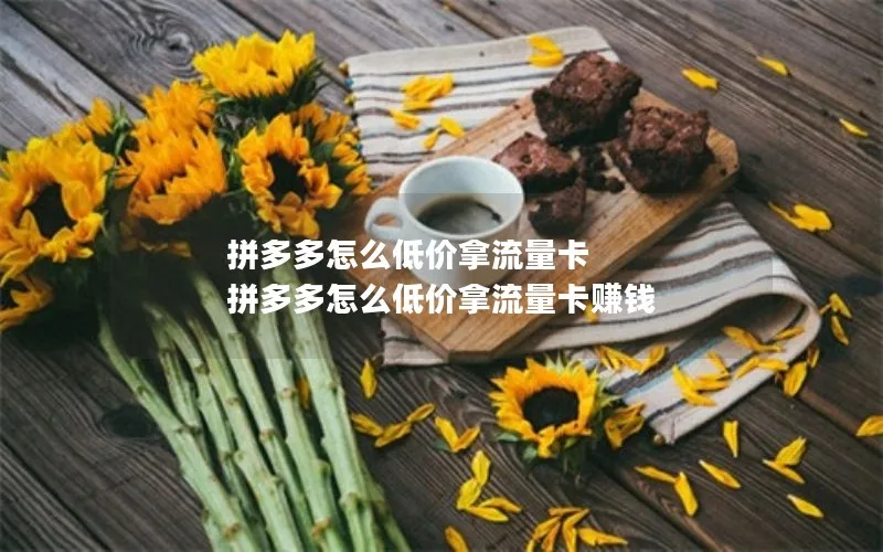 拼多多怎么低价拿流量卡 拼多多怎么低价拿流量卡赚钱