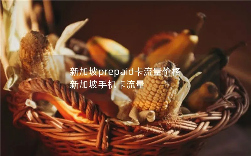 新加坡prepaid卡流量价格 新加坡手机卡流量