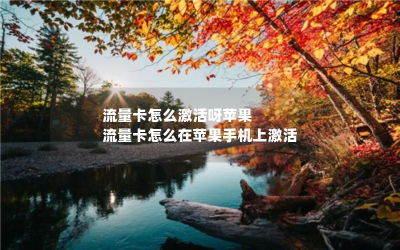 流量卡怎么激活呀苹果 流量卡怎么在苹果手机上激活