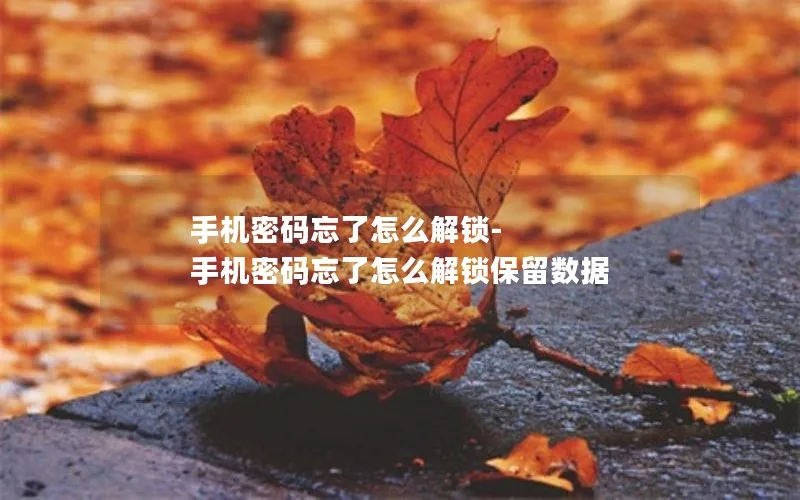 手机密码忘了怎么解锁-手机密码忘了怎么解锁保留数据