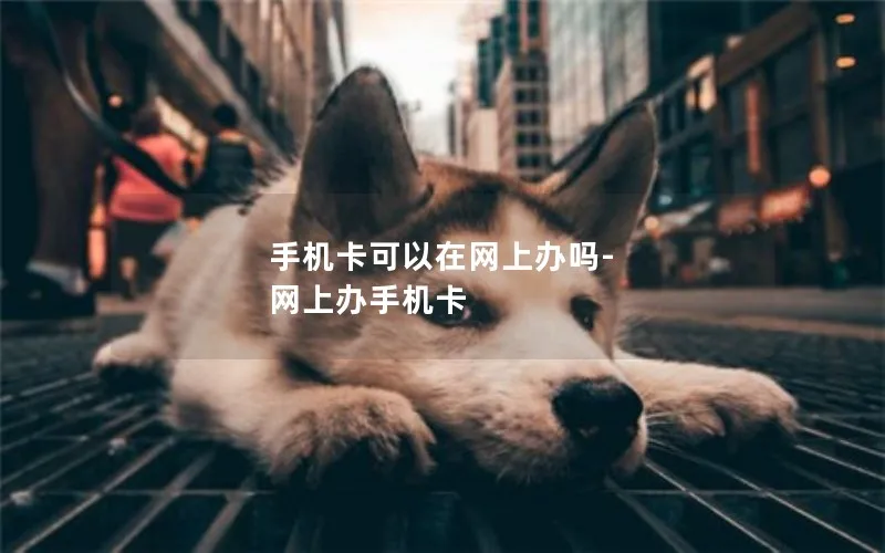 手机卡可以在网上办吗-网上办手机卡