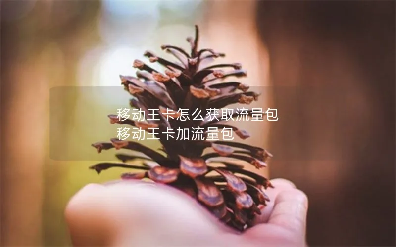 移动王卡怎么获取流量包 移动王卡加流量包