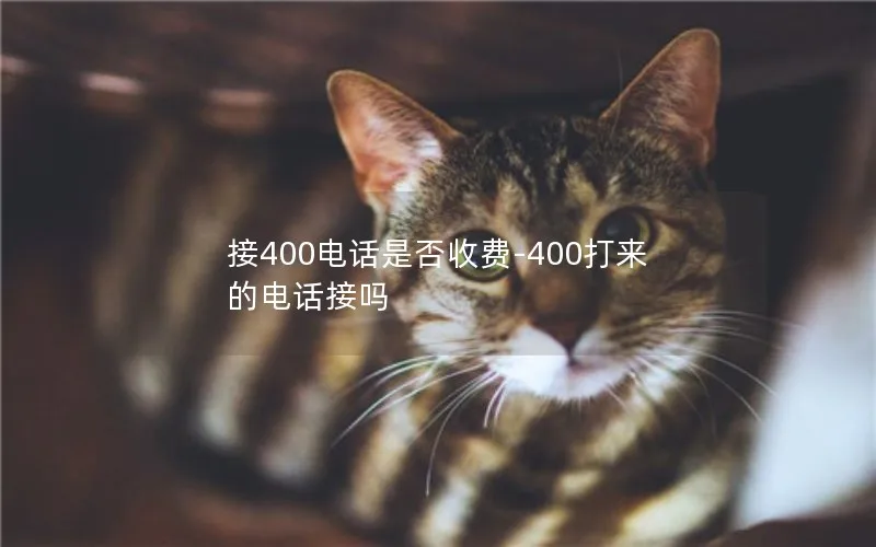 接400电话是否收费-400打来的电话接吗