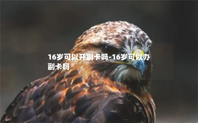 16岁可以开副卡吗-16岁可以办副卡吗