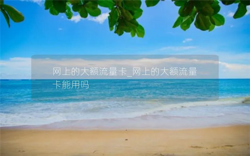 网上的大额流量卡_网上的大额流量卡能用吗