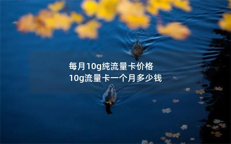 每月10g纯流量卡价格 10g流量卡一个月多少钱