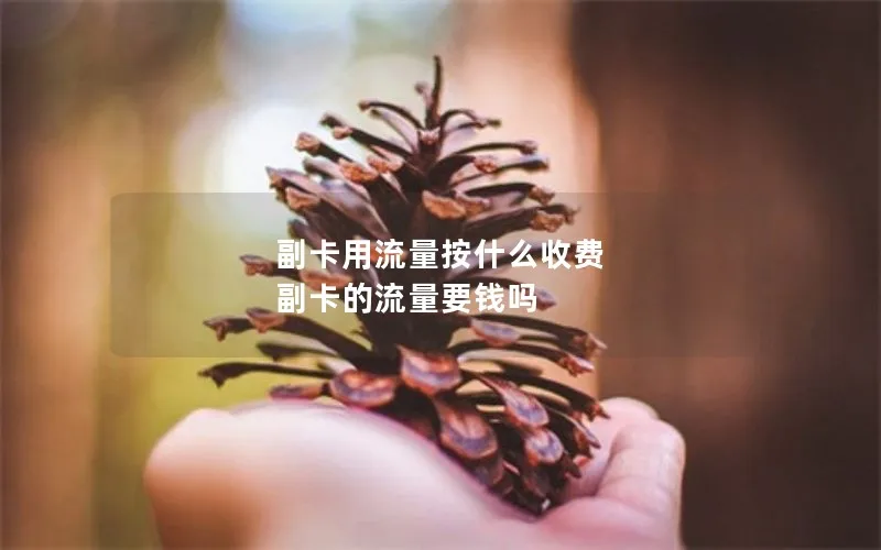 副卡用流量按什么收费 副卡的流量要钱吗