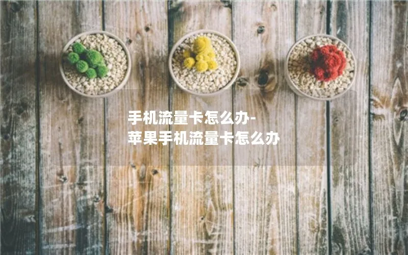 手机流量卡怎么办-苹果手机流量卡怎么办