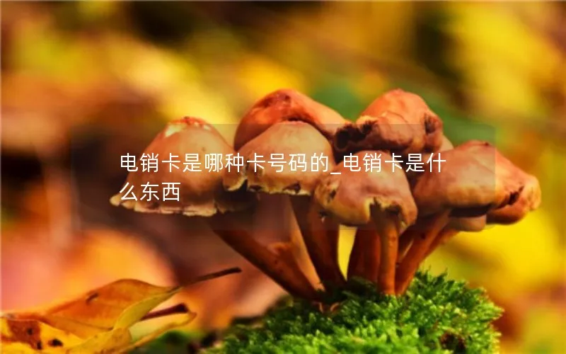 电销卡是哪种卡号码的_电销卡是什么东西