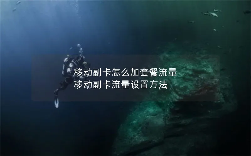 移动副卡怎么加套餐流量 移动副卡流量设置方法