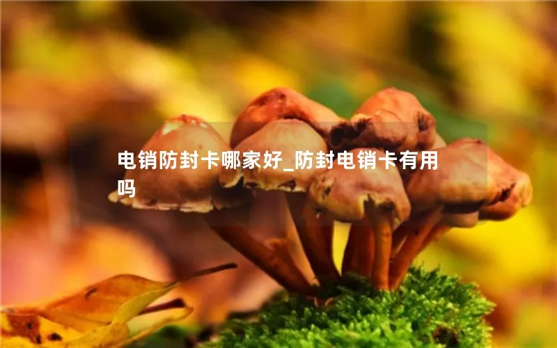 电销防封卡哪家好_防封电销卡有用吗