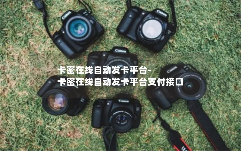 卡密在线自动发卡平台-卡密在线自动发卡平台支付接口