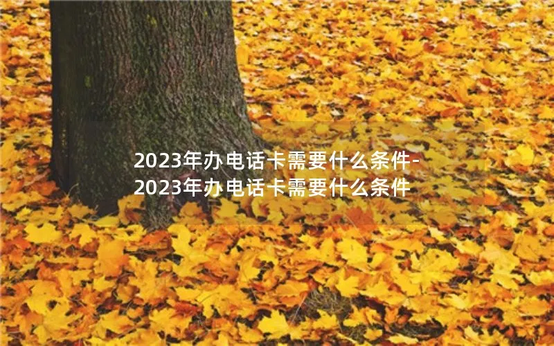 2023年办电话卡需要什么条件-2023年办电话卡需要什么条件