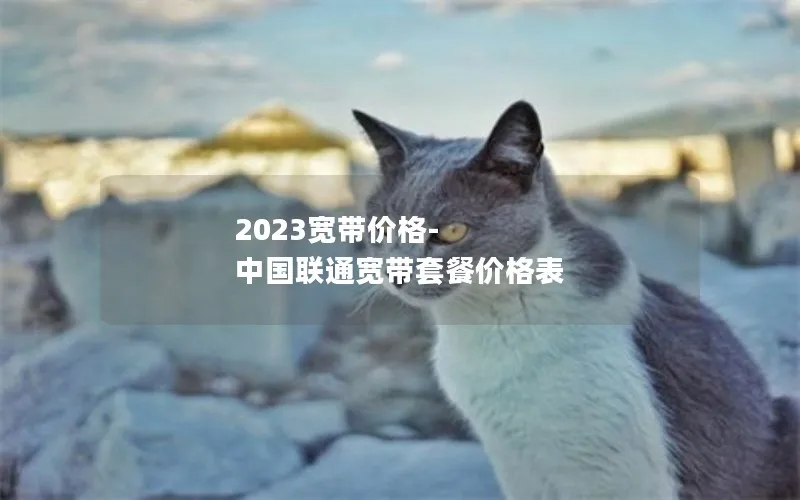 2023宽带价格-中国联通宽带套餐价格表